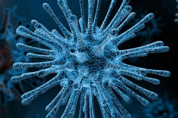 Campagna di immunizzazione contro il virus respiratorio sinciziale della Regione Piemonte